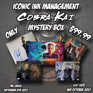 Cobra Kai Mystery Box